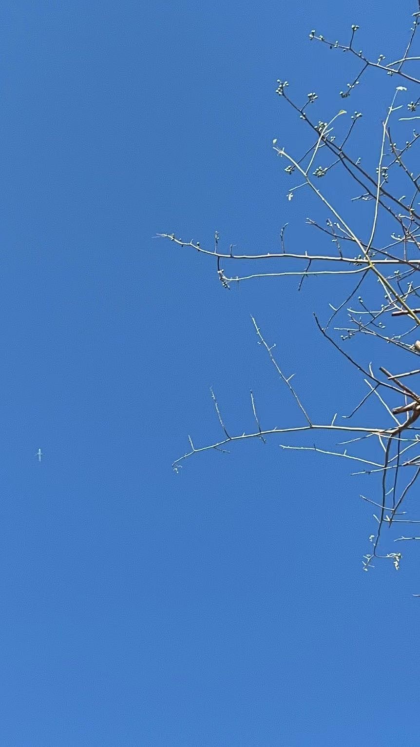 星空与蓝天（图ZMzIwNzAzMTQ4） - 风光摄影 - 站酷设计师爱吃棉花糖的乔巴原创素材 - 站酷ZCOOL