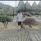 齐天大橙子的头像