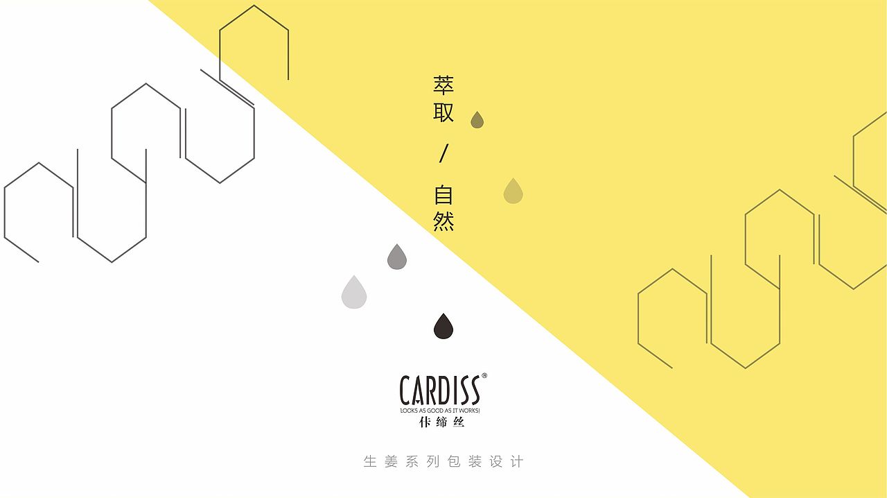 生姜洗发水系列产品包装设计提案