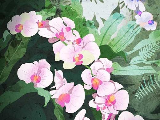 植物习作