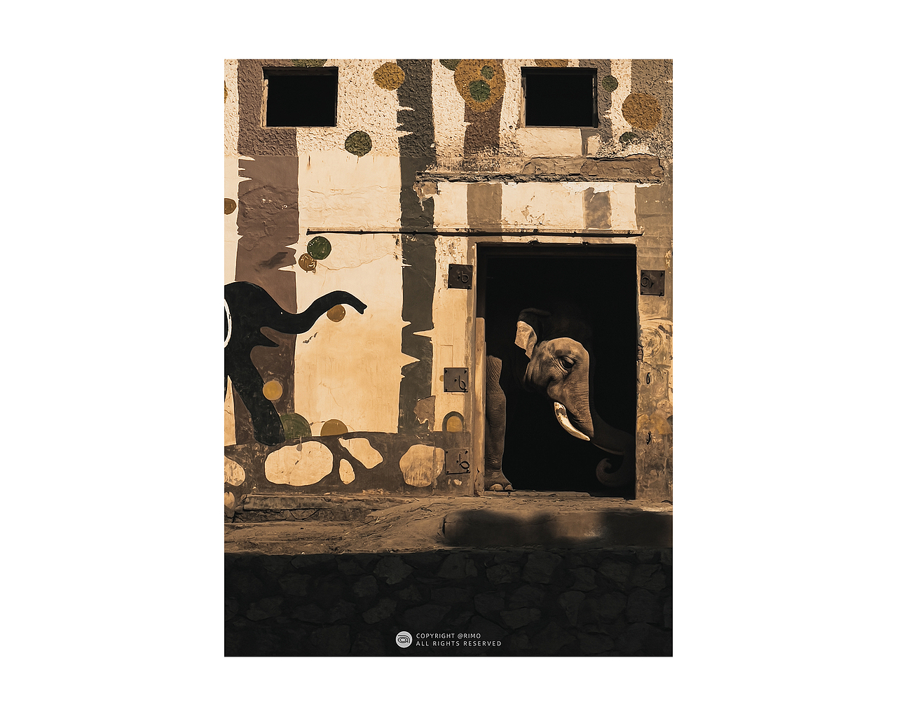 2021 | 手机摄影年终总结