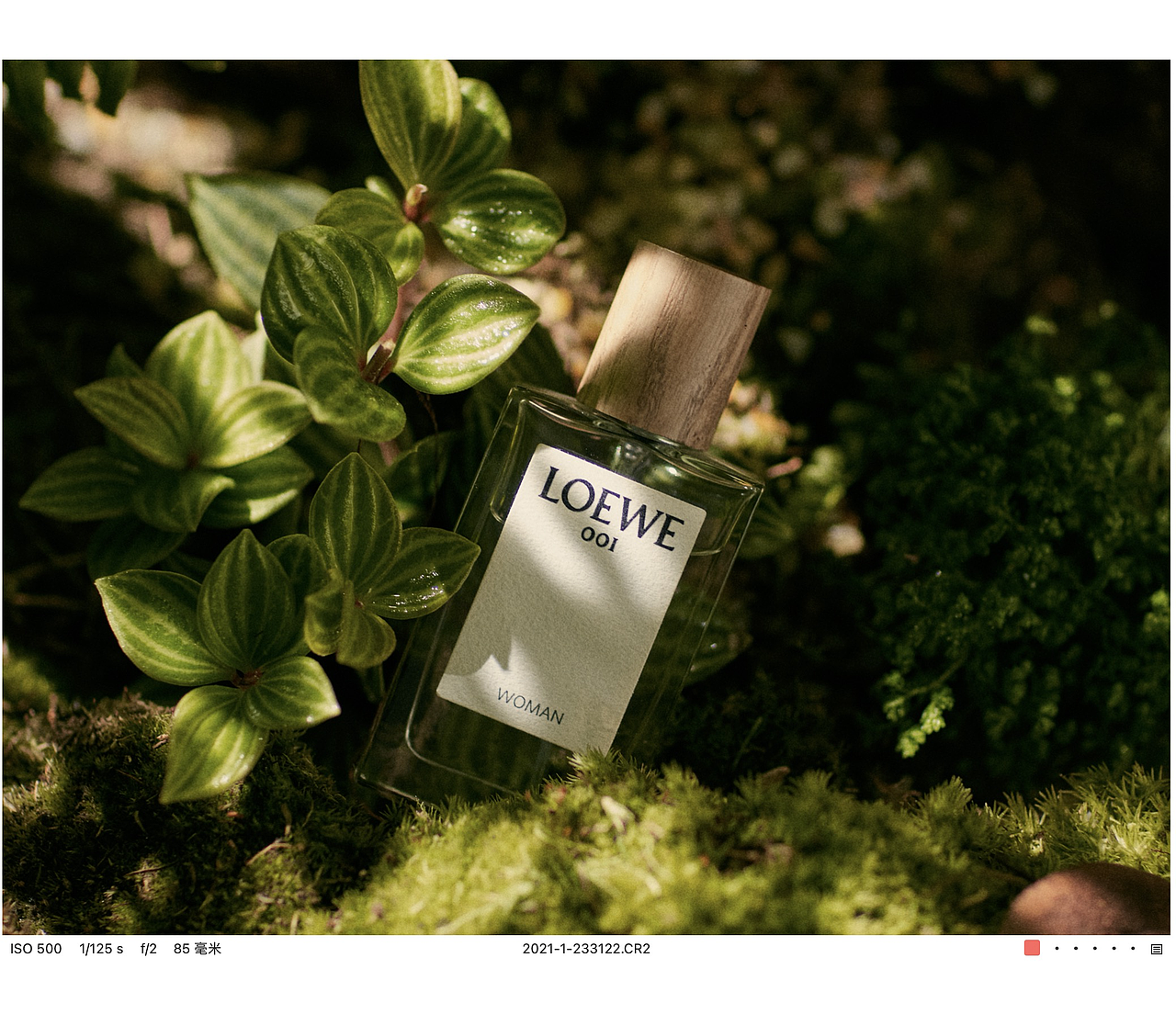 男士EDT淡香水事后清晨花木香 ✖LOEWE/罗意威