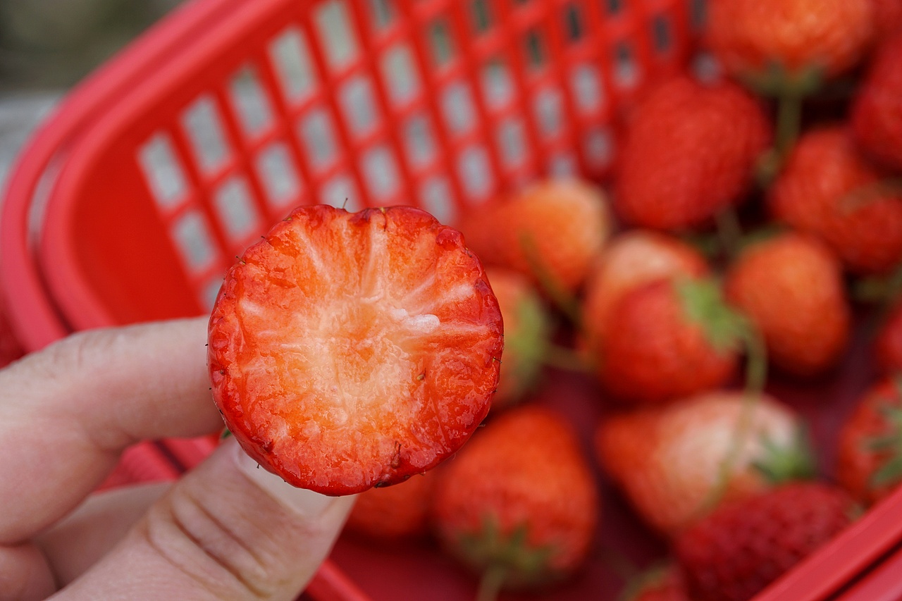 是春天应该有的味道