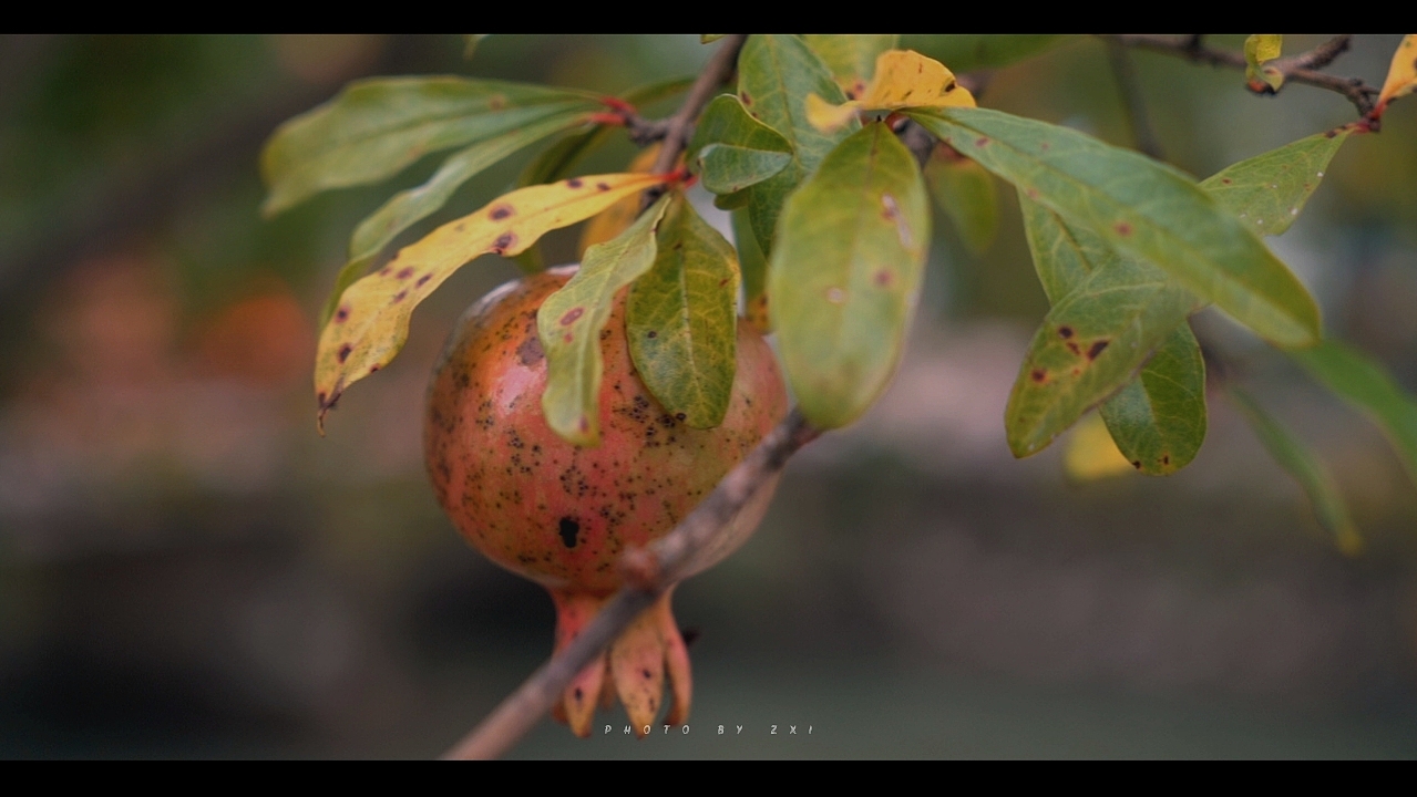 电影感摄影（图ZMjE3NTg0NTMy） - 人文/纪实摄影 - 站酷设计师IZZARD盜原创素材 - 站酷ZCOOL