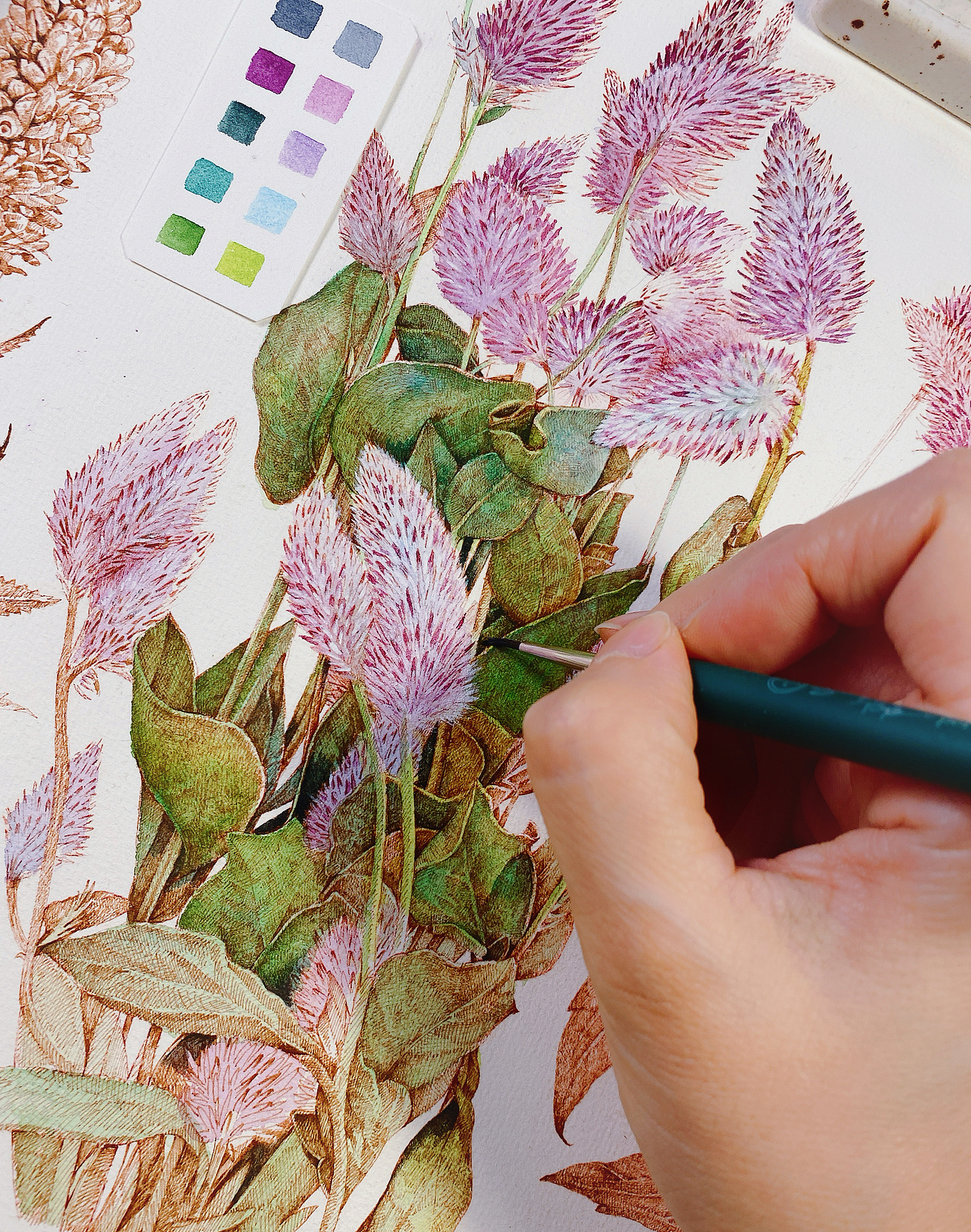 蘸水笔针管笔｜三种尾巴草（图ZMzc0NjQ2NTI0） - 艺术插画 - 站酷设计师CatCastleDZ原创素材 - 站酷ZCOOL