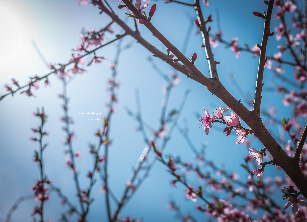 小區那麼大我想去看看