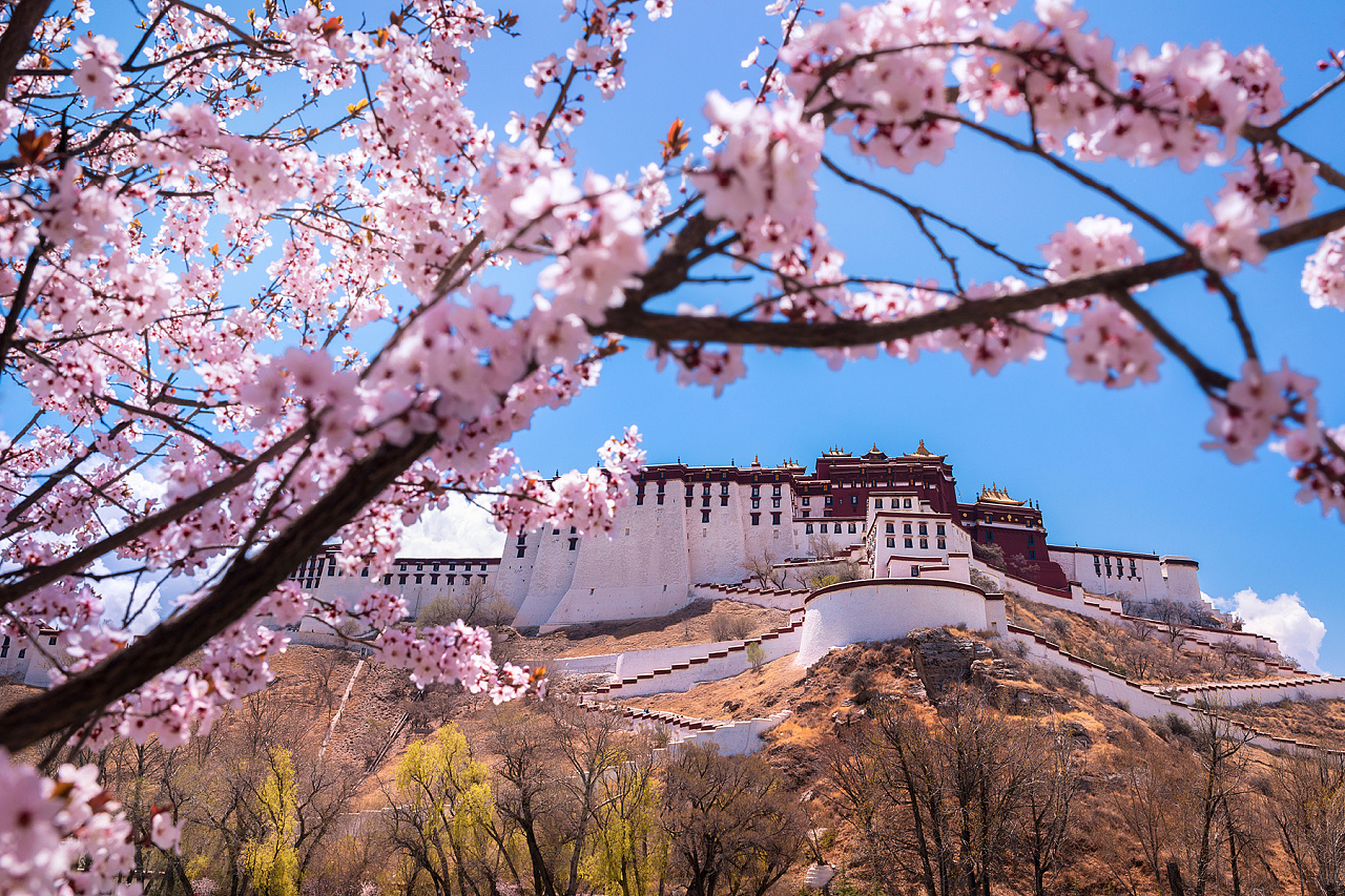 这是布达拉宫的春天