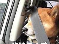 草稿测试（个人主页-ZMzYyNzY5MDA=） - 品牌 - 站酷设计师瓦瓦爪原创素材 - 站酷ZCOOL