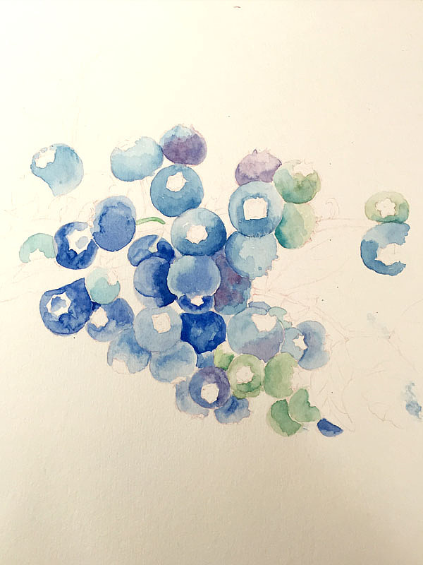 蓝莓（图ZNTA4NzgyNjg=） - 商业插画 - 站酷设计师山狐小妖原创素材 - 站酷ZCOOL