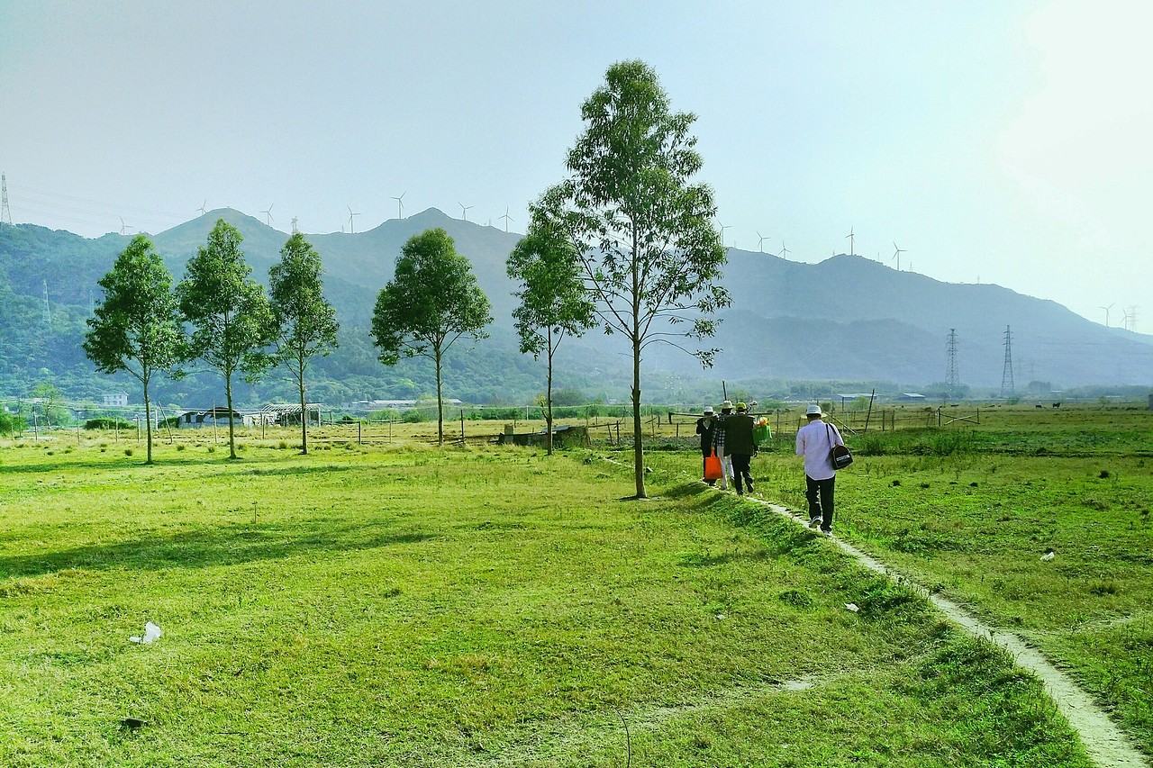 手機攝影—景（圖ZMTU3NTA4MTY4） - 人文/紀實攝影 - 站酷設(shè)計師走過綠意原創(chuàng)素材 - 站酷ZCOOL