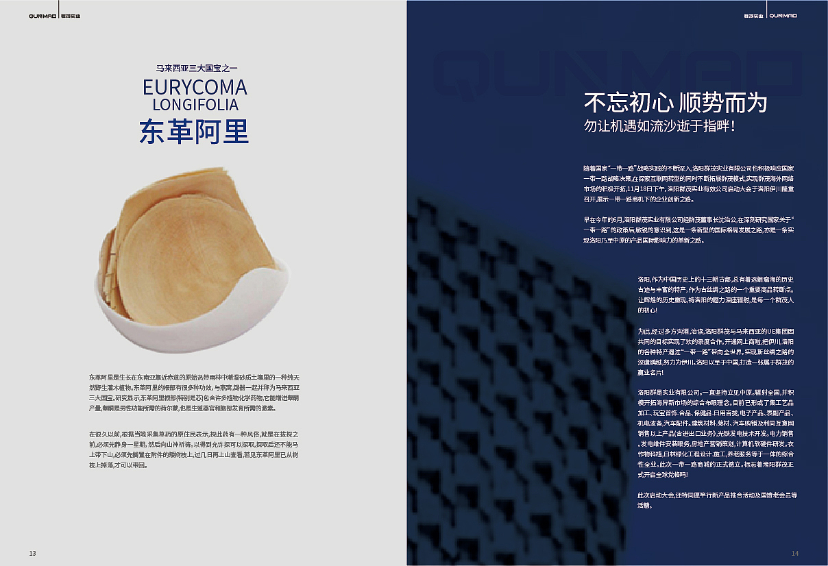 畫冊（圖ZMjQ0OTU4Nzky） - 書籍/畫冊 - 站酷設(shè)計(jì)師陳晨吖原創(chuàng)素材 - 站酷ZCOOL