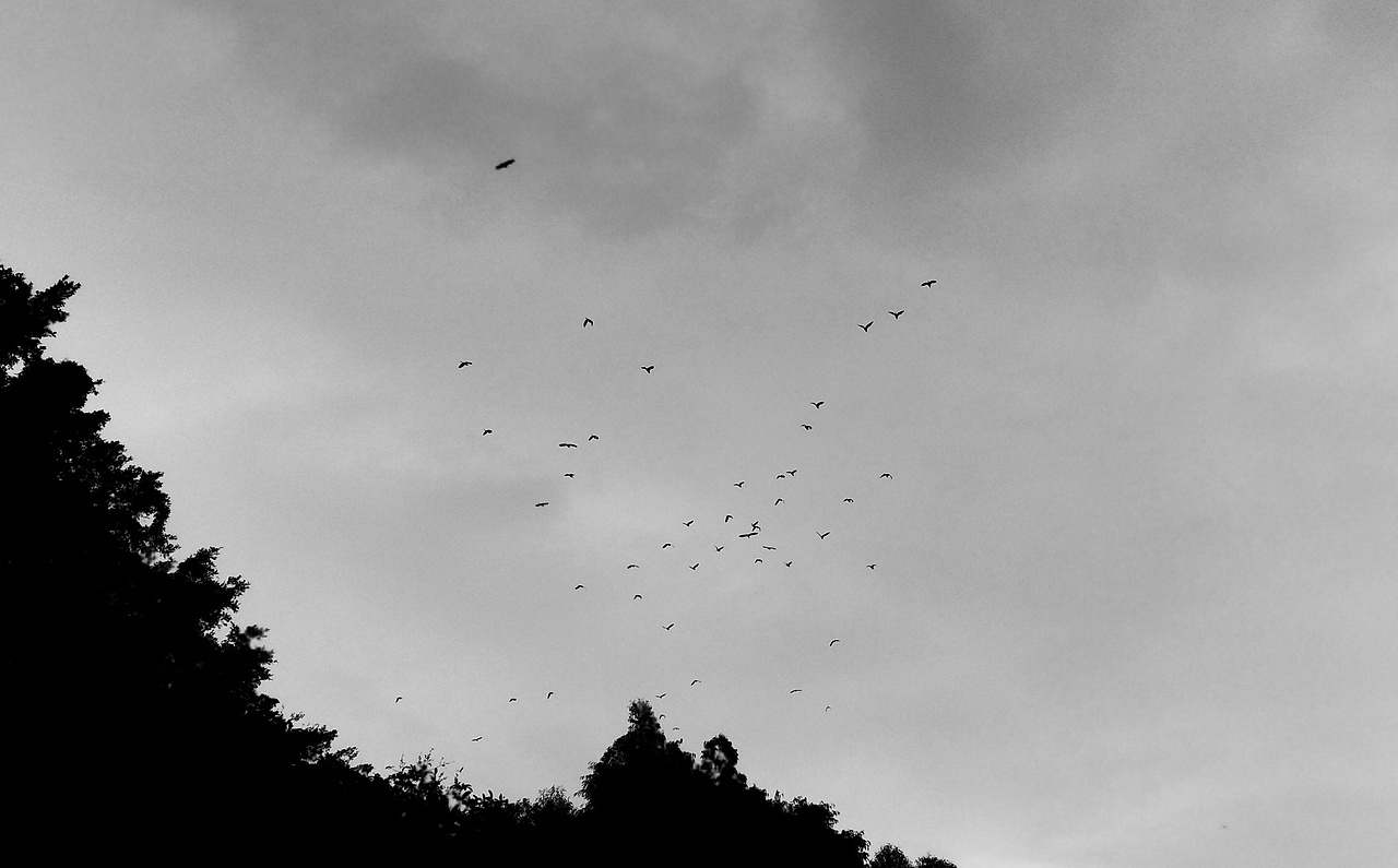 手机摄影(部分相机原片,手机后期)选集