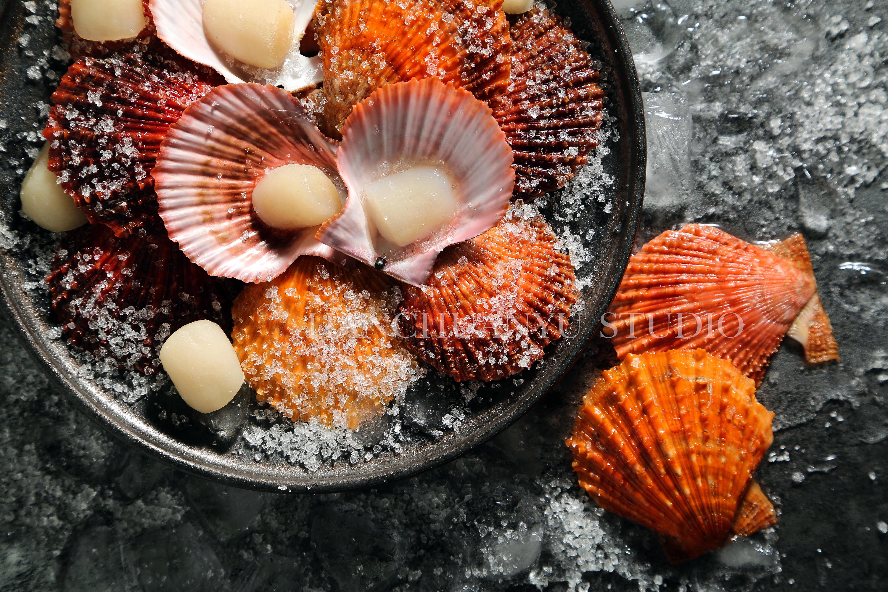 海鲜拍摄之扇贝 扇贝美食拍摄 海鲜拍摄 美食拍摄 |摄影|产品摄影