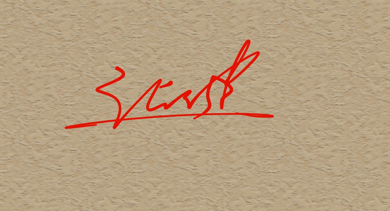 张健的签名一款丨艺术签名丨签名设计丨签名怎么写好看