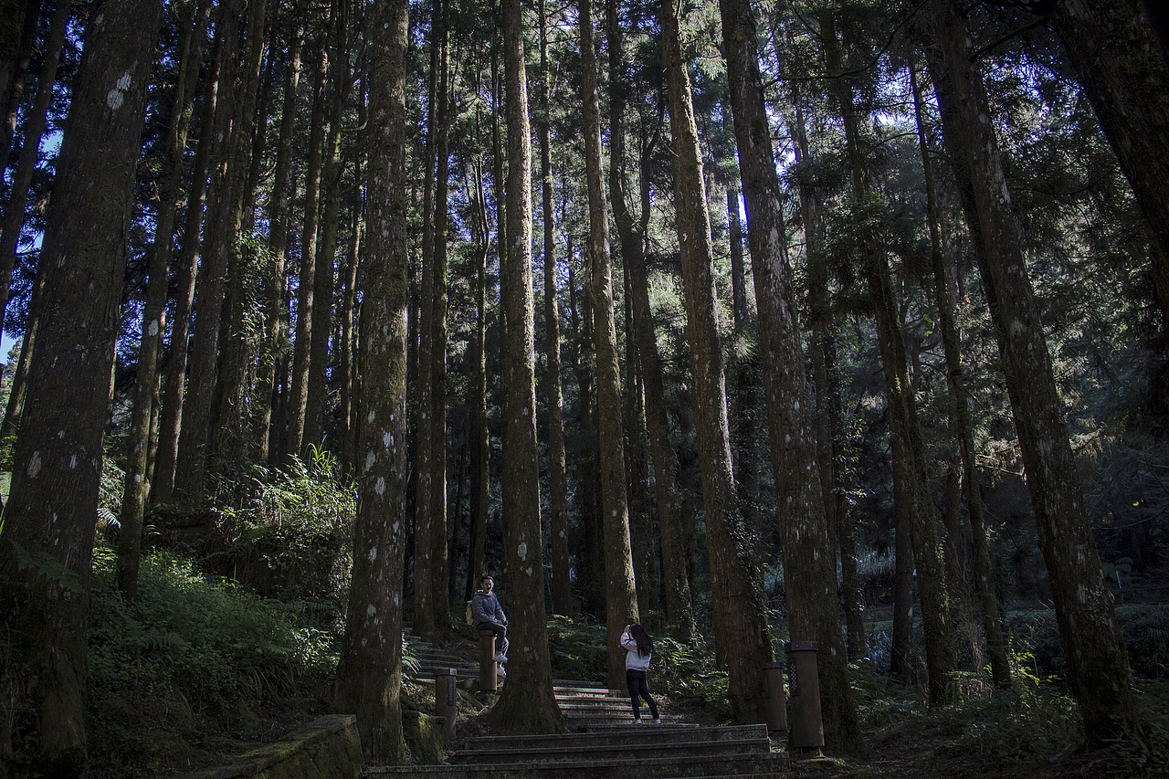 台湾嘉义阿里山