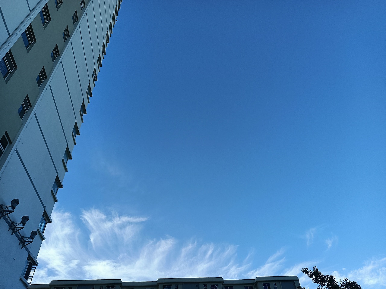 ₍˄·͈༝·͈˄*₎◞ ̑̑