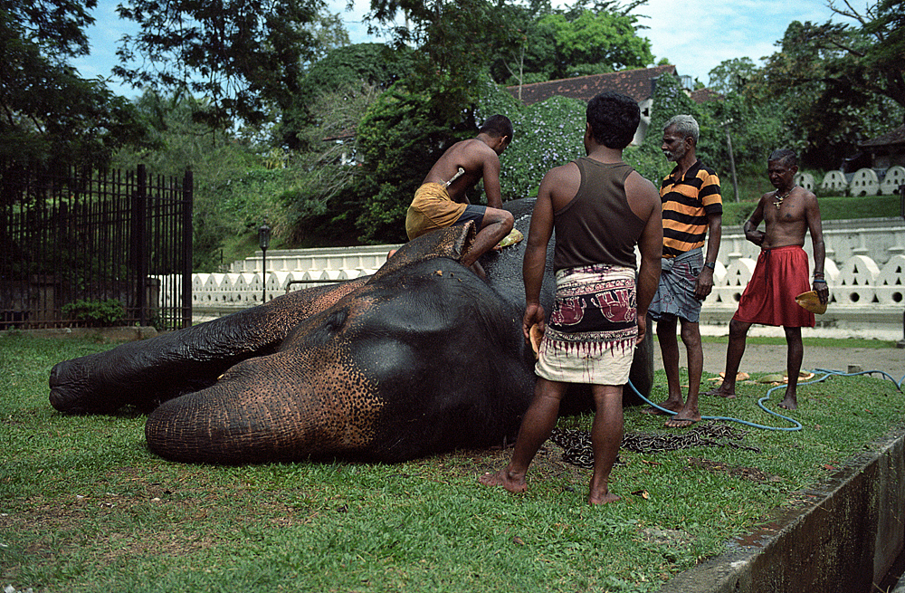 微笑的印度洋眼泪(胶片游记)