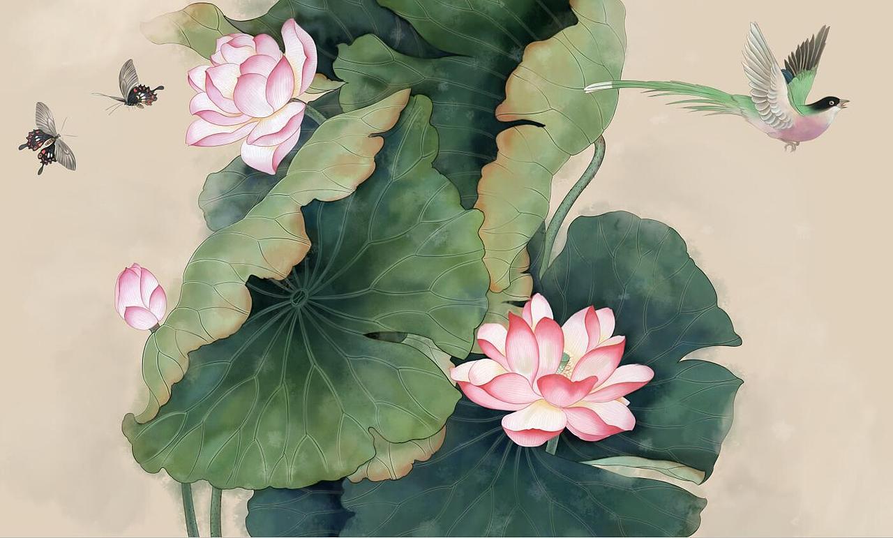 工筆國畫插畫 花鳥 荷花（圖ZNTY2NjY0MjQ=） - 商業(yè)插畫 - 站酷設(shè)計師速度感原創(chuàng)素材 - 站酷ZCOOL