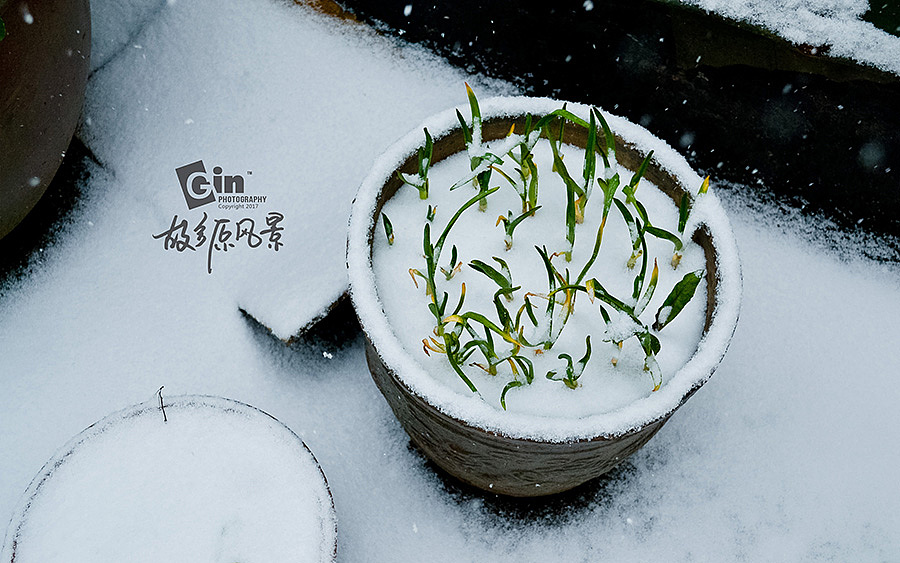 拍照 | 故乡原风景、