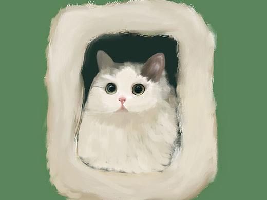 猫咪-厚涂插画练习