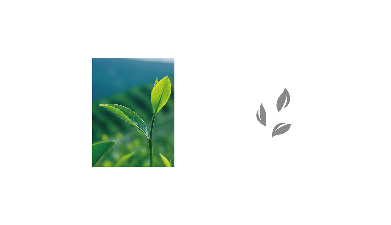 硒客土特产标志（图ZMTA4NTc5ODMy） - Logo - 站酷设计师卡布达哒原创素材 - 站酷ZCOOL