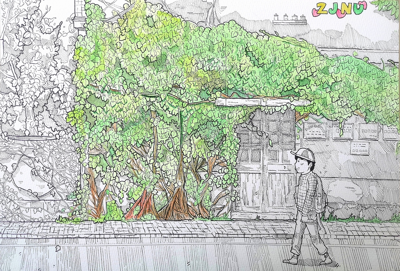 浙师校园系列第二组插画作品