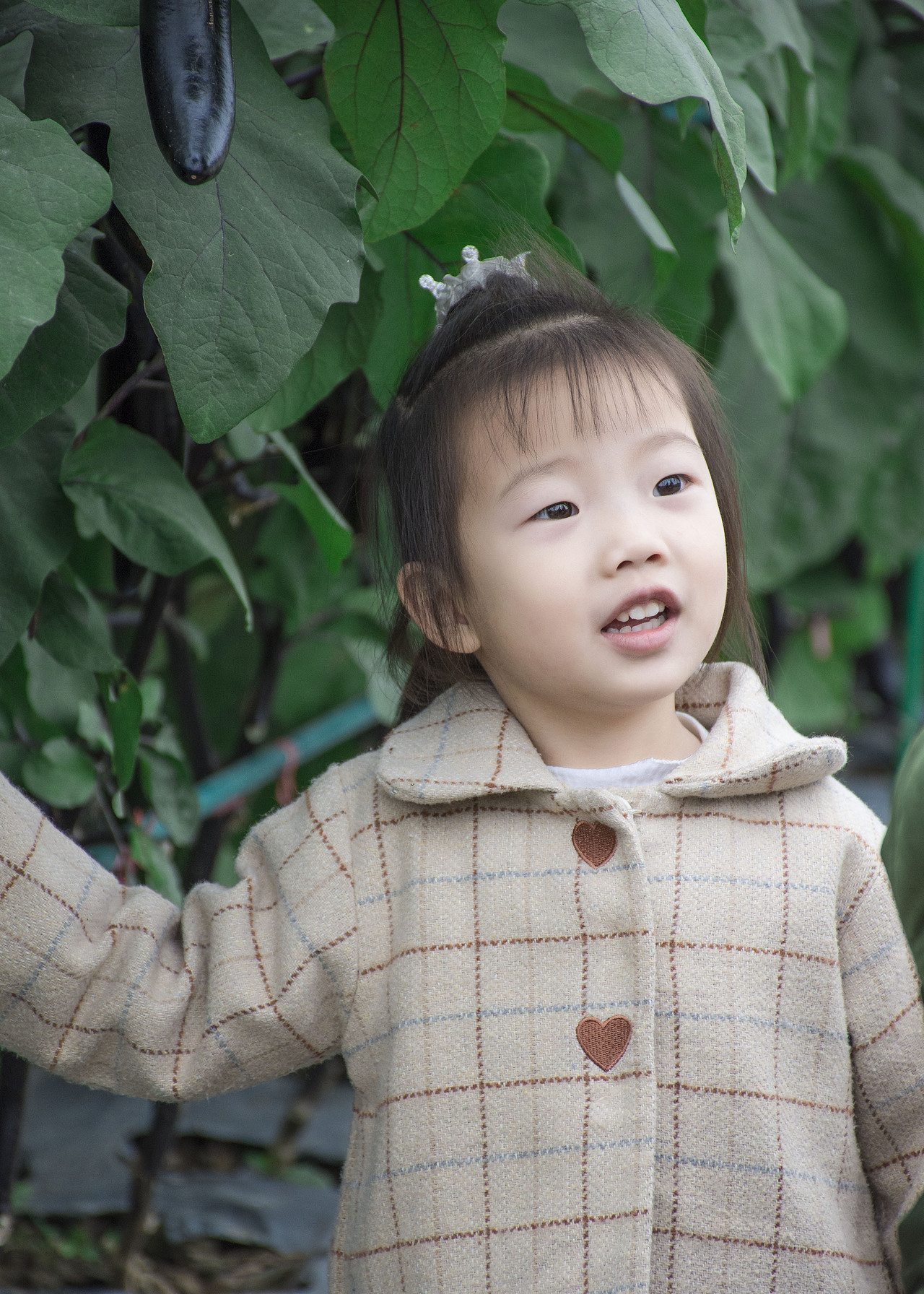 菜园里的小可爱——抓拍邻居家的小女孩