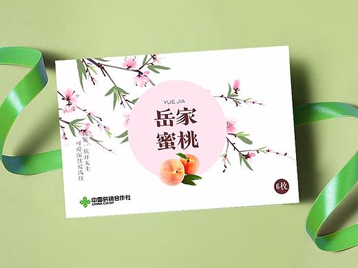 水果包装盒（个人主页-ZMzgxOTI5NDA=） - 包装 - 站酷设计师设计师Elena原创素材 - 站酷ZCOOL