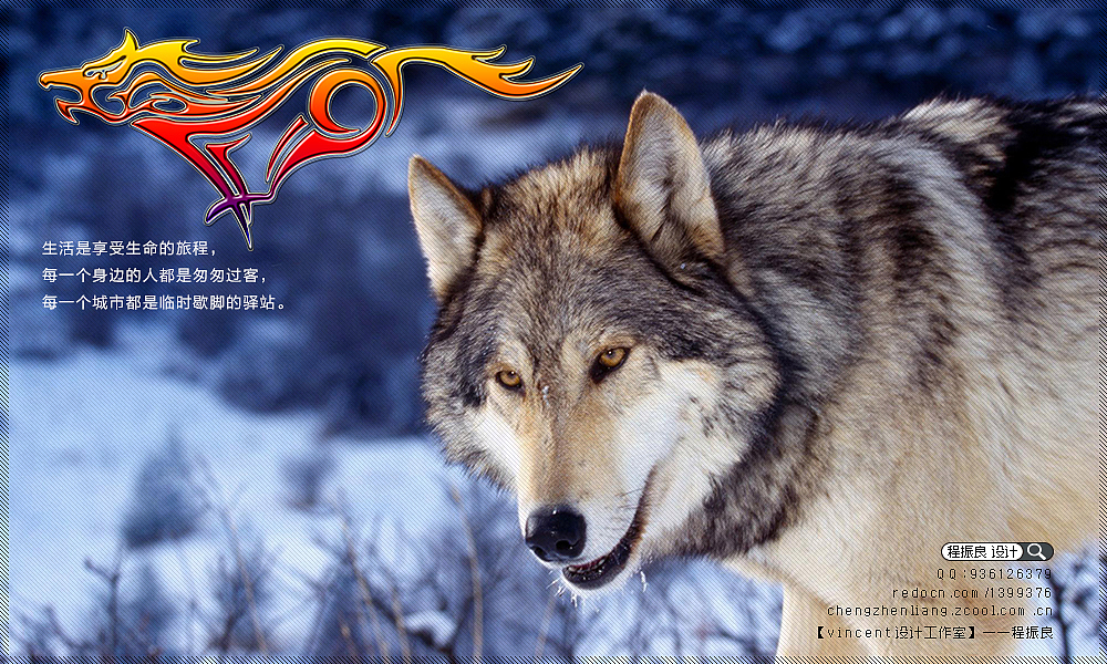 3个标识设计《狼图腾》 《人人租赁》 《信息学院记者团》.