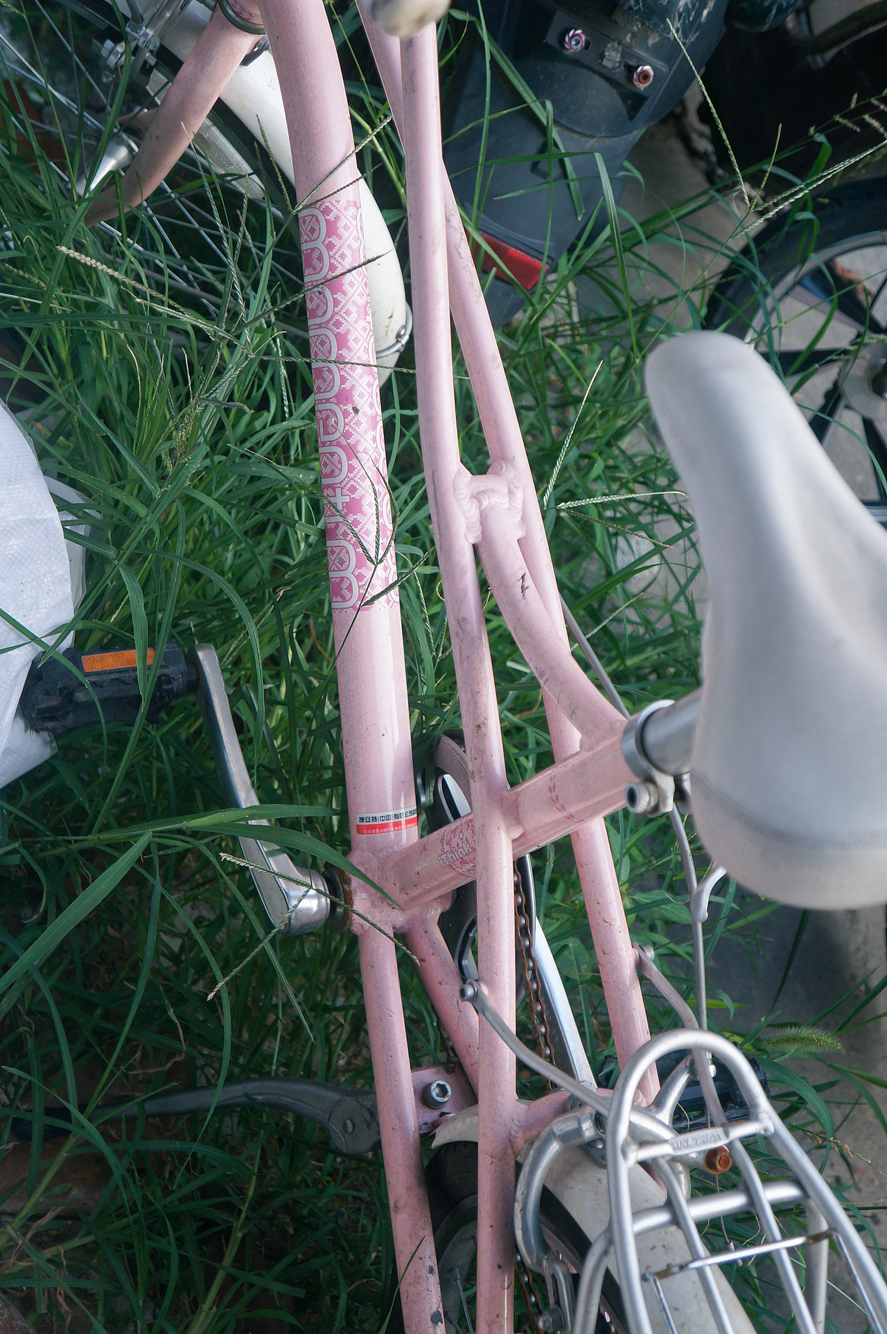 P!NK（圖ZMTA2MTAxMTQ0） - 人文/紀(jì)實攝影 - 站酷設(shè)計師正在做任務(wù)原創(chuàng)素材 - 站酷ZCOOL