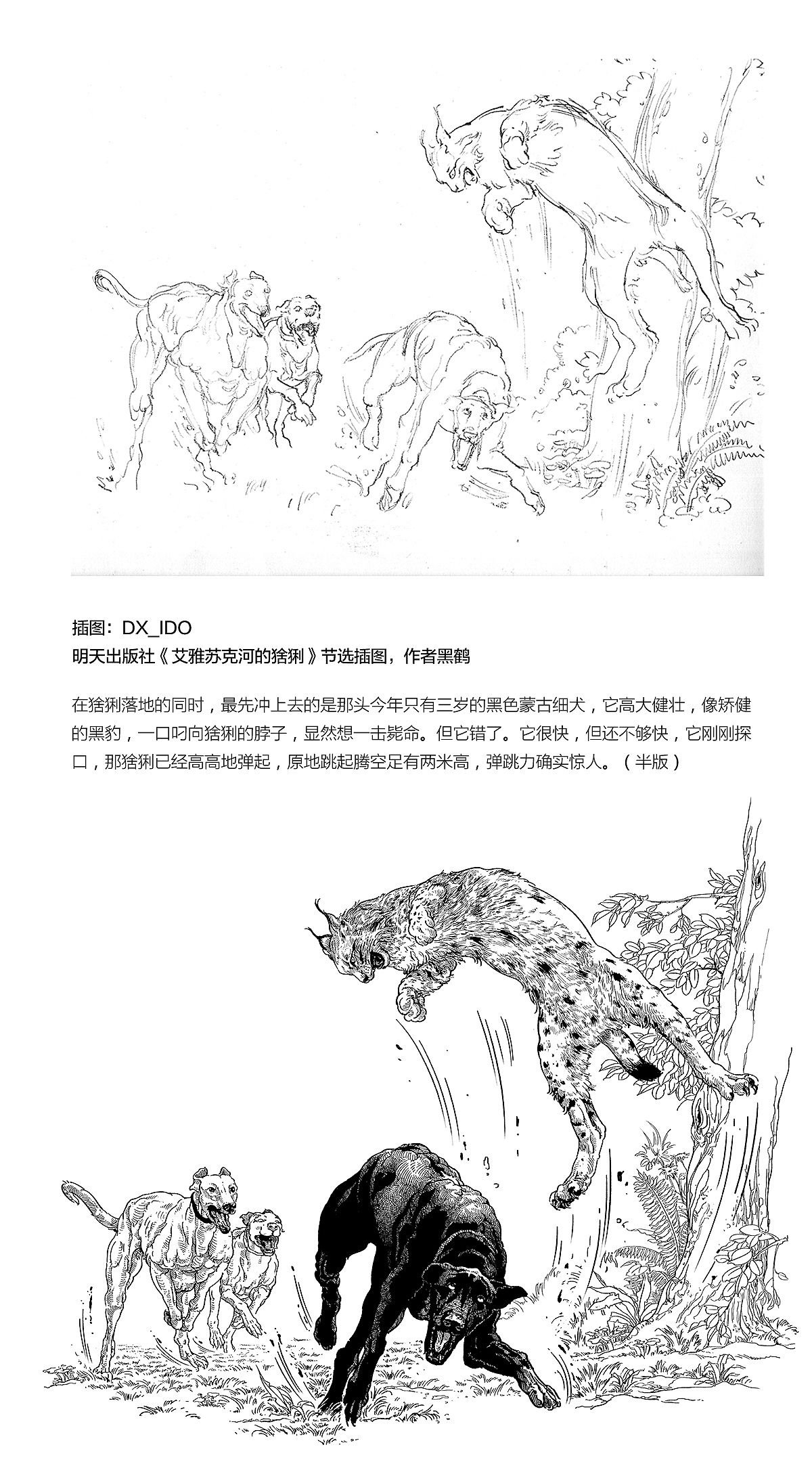 2189 一些插图整理（图ZMTI5NTg5MjA0） - 绘画 - 站酷设计师DX_IDO原创素材 - 站酷ZCOOL