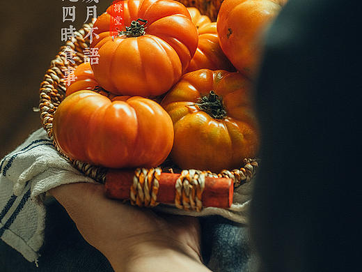 旧食｜一组秋实
