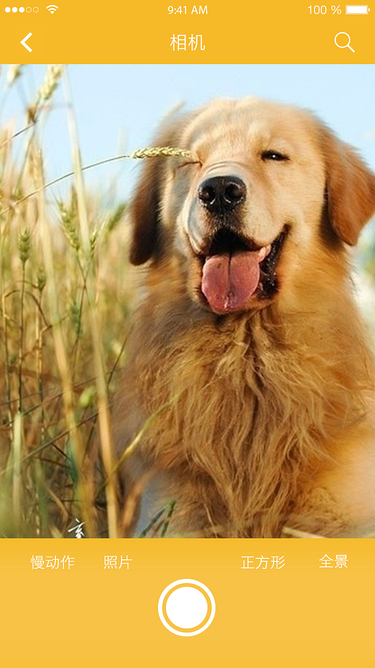 APP 界面 UI GUI ICON 界面详情 50个界面 演示 图标（图ZNTYwNzU1MDQ=） - APP界面 - 站酷设计师美工吴志祥原创素材 - 站酷ZCOOL