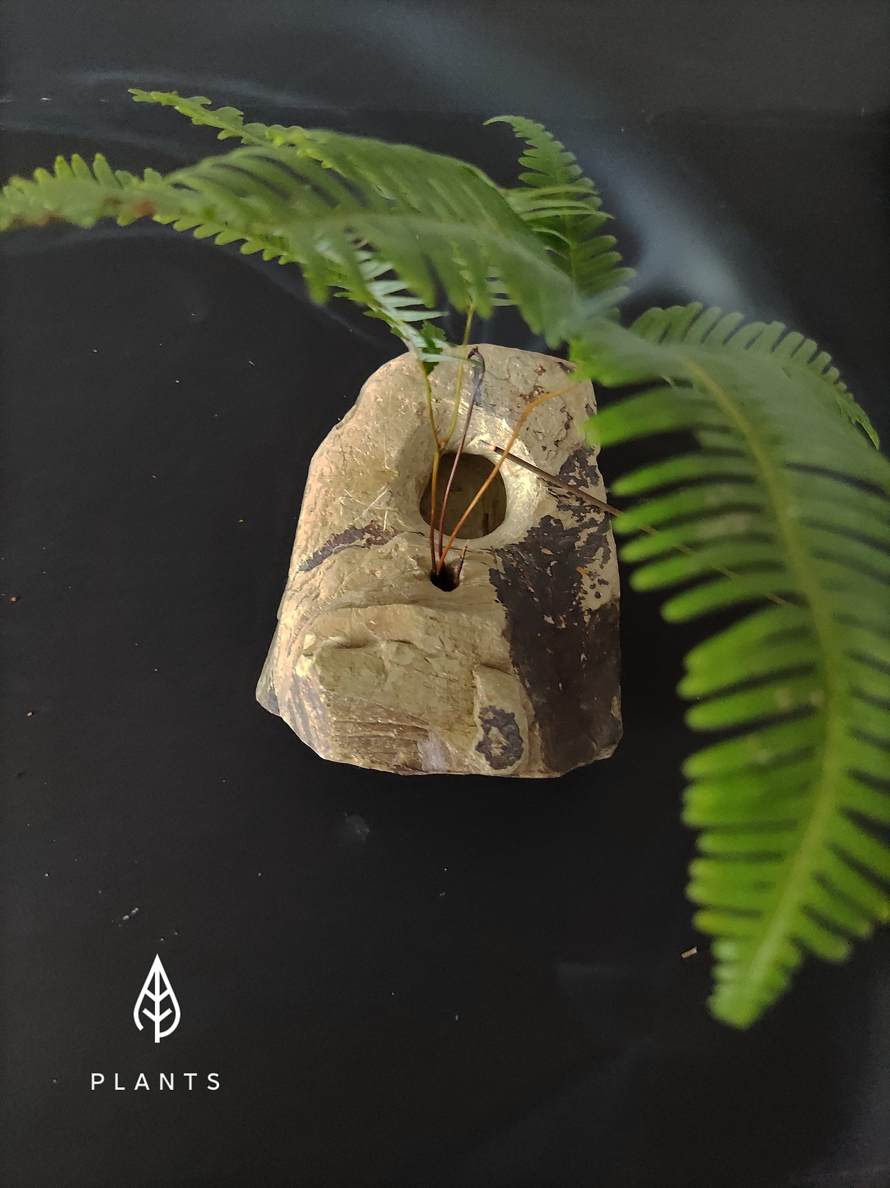 手机摄影5（图ZMjQyMDQyMTAw） - 产品摄影 - 站酷设计师191436255原创素材 - 站酷ZCOOL