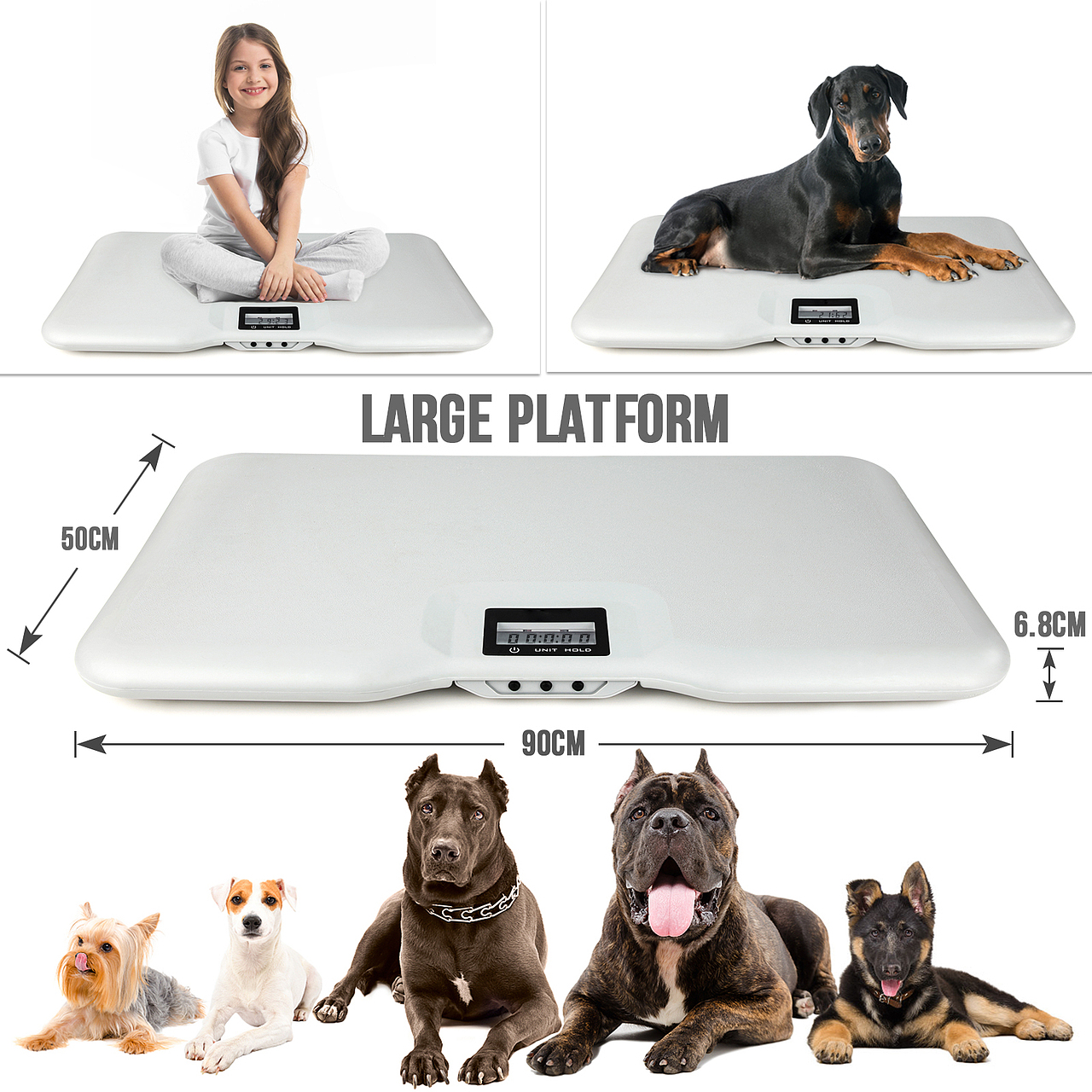 金洲视觉亚马逊产品拍摄设计精修做图称电子家用称重称