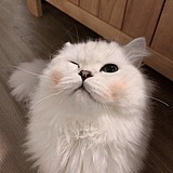 mm小橘子的头像
