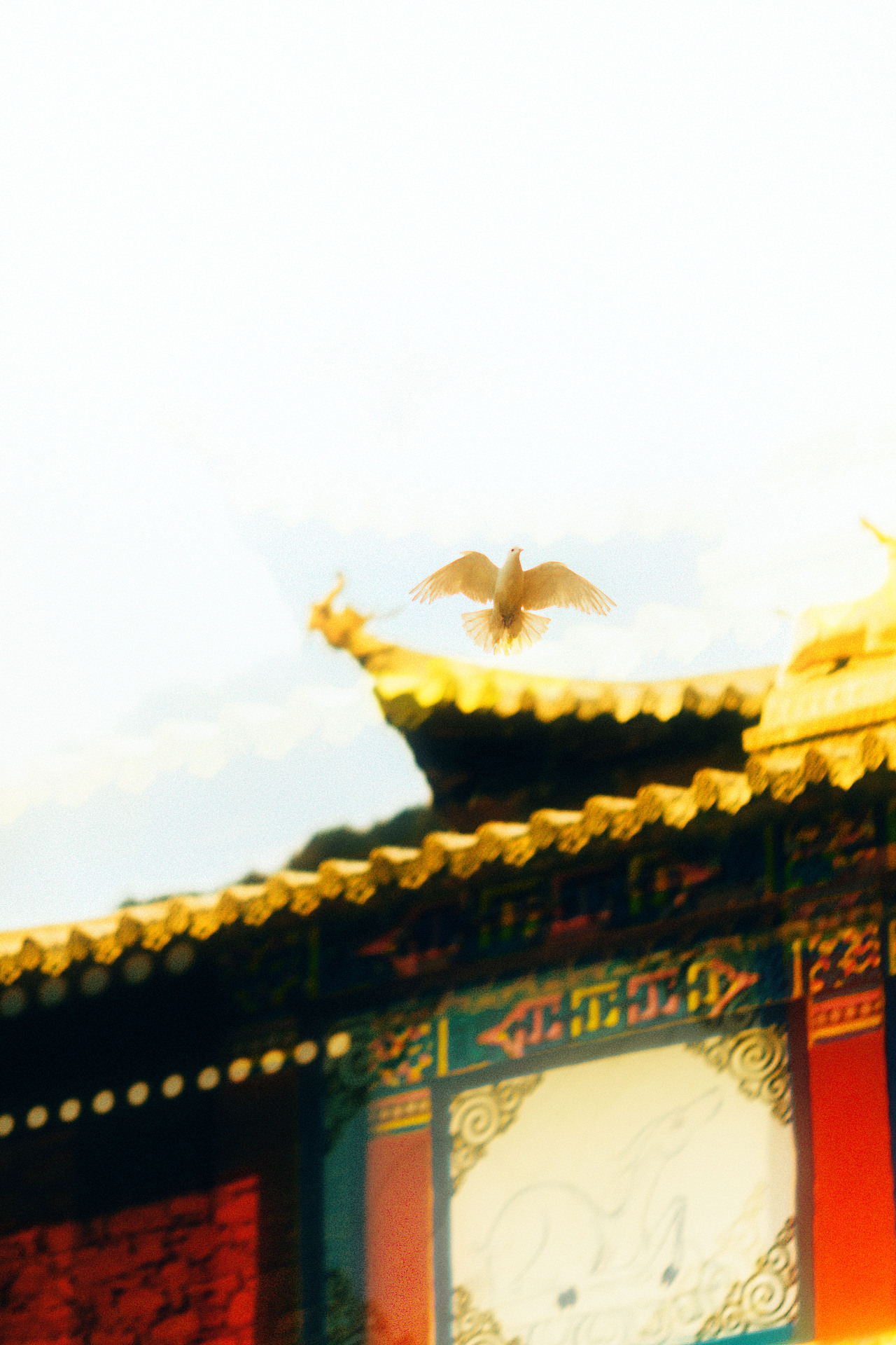 *姜黄色的光（图ZMjc3MjcxOTky） - 风光摄影 - 站酷设计师狒狒Aurora原创素材 - 站酷ZCOOL