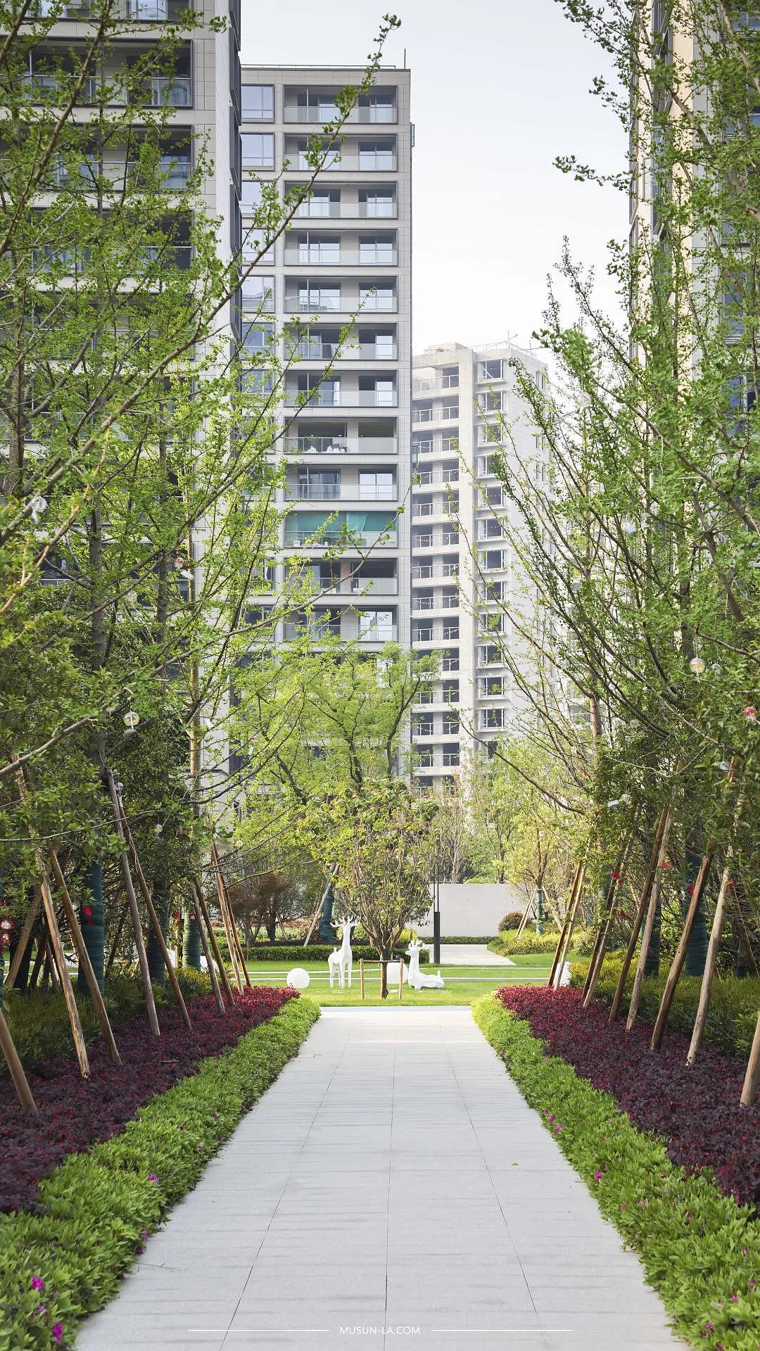 联排区的巷道景观通过不同元素的组合,变换着不同的景致。