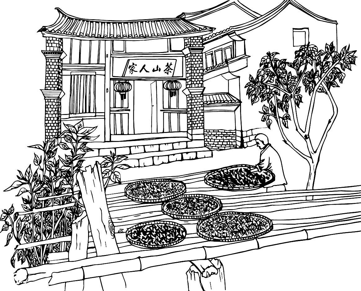 黑白线描 每日一画