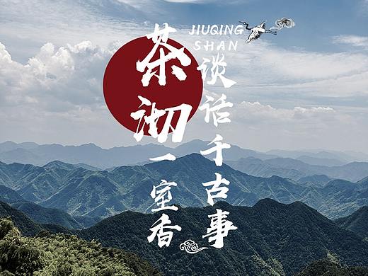 九卿山野生白茶