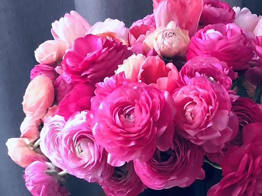 插花+摄影【5】