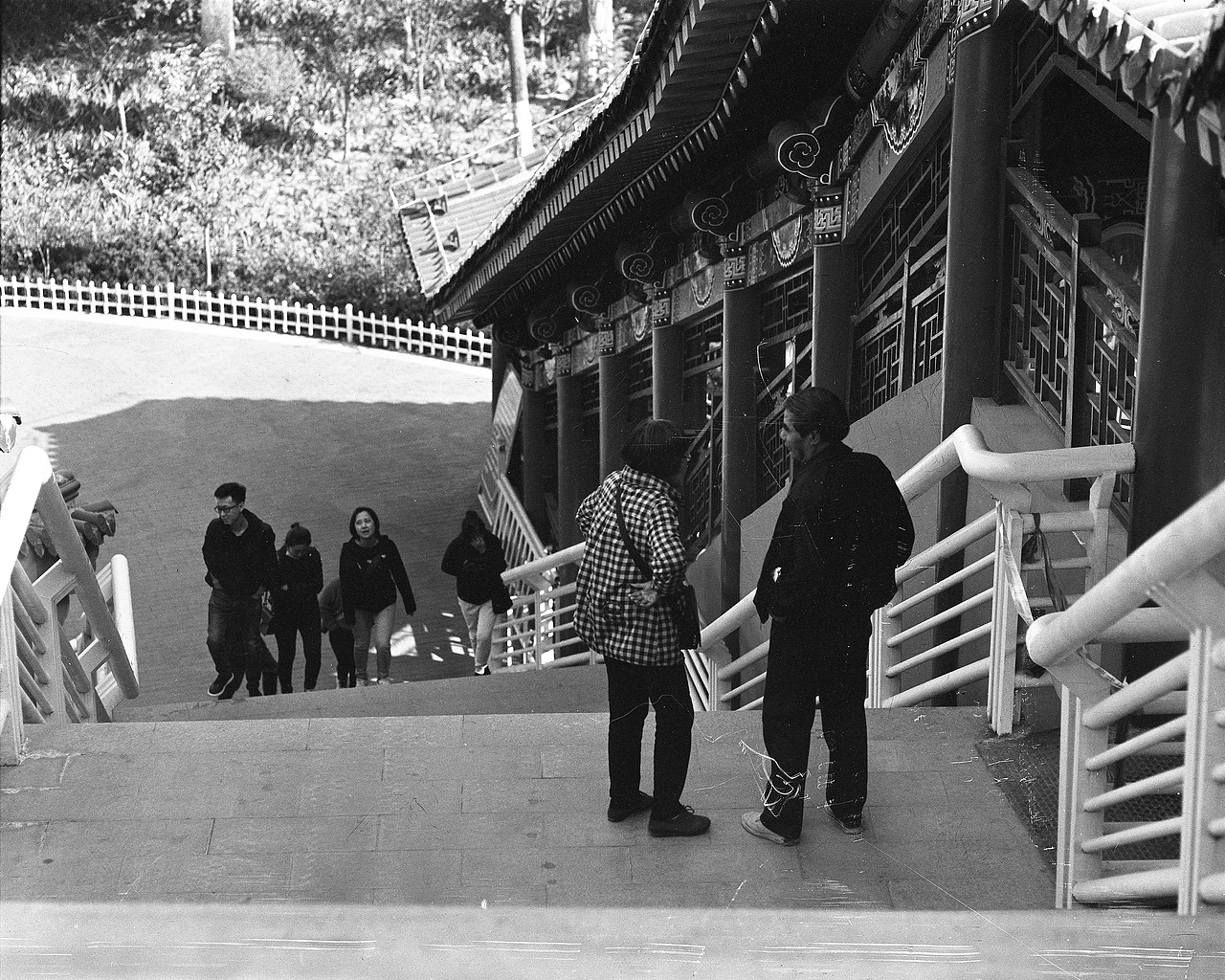 胶片摄影MamiyaRB67