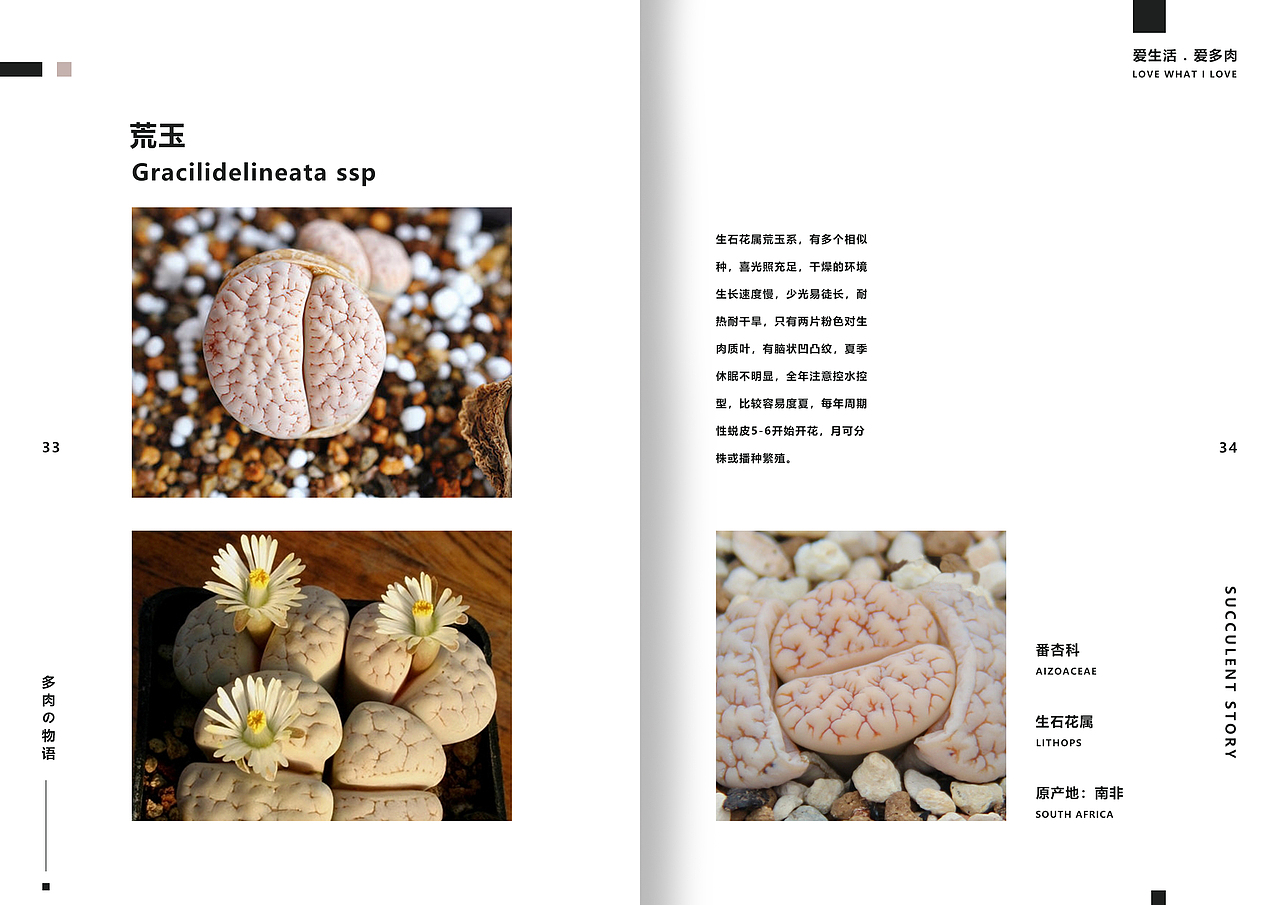 一套多肉植物画册（图ZMTgxMzI3MTAw） - 书籍/画册 - 站酷设计师湛麓原创素材 - 站酷ZCOOL