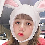 椿小蕾的头像