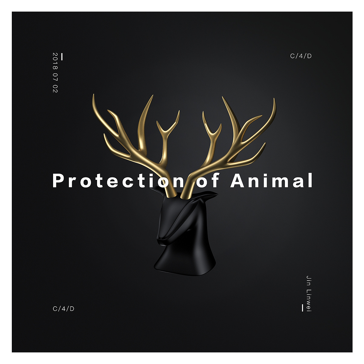 c4d动物保护公益广告