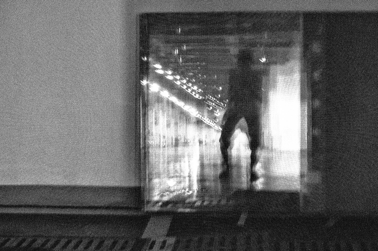 我和我的朋友们