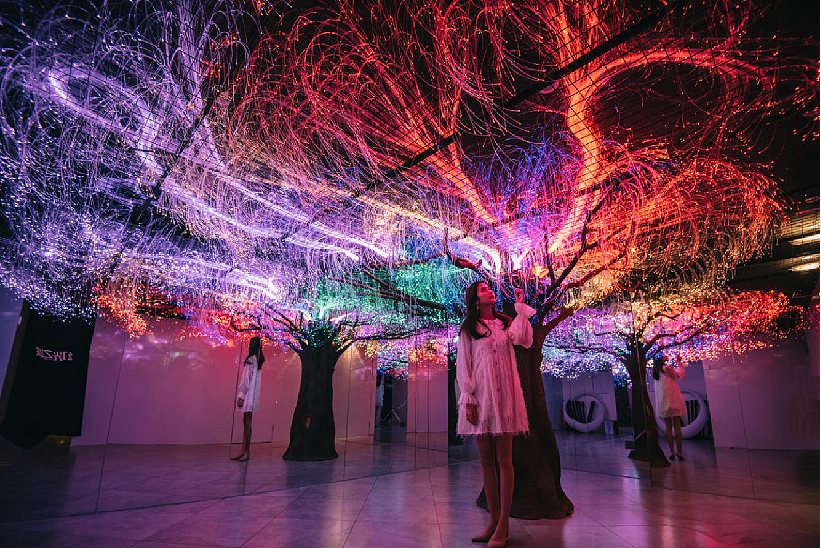 高端镜花宫 网红艺术展