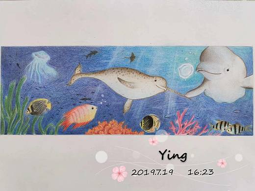 神秘的海洋世界
