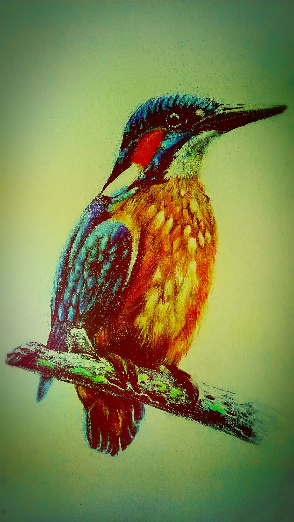 彩铅|插画|涂鸦/潮流|ak思琦 - 原创作品 - 站酷 (zcool)