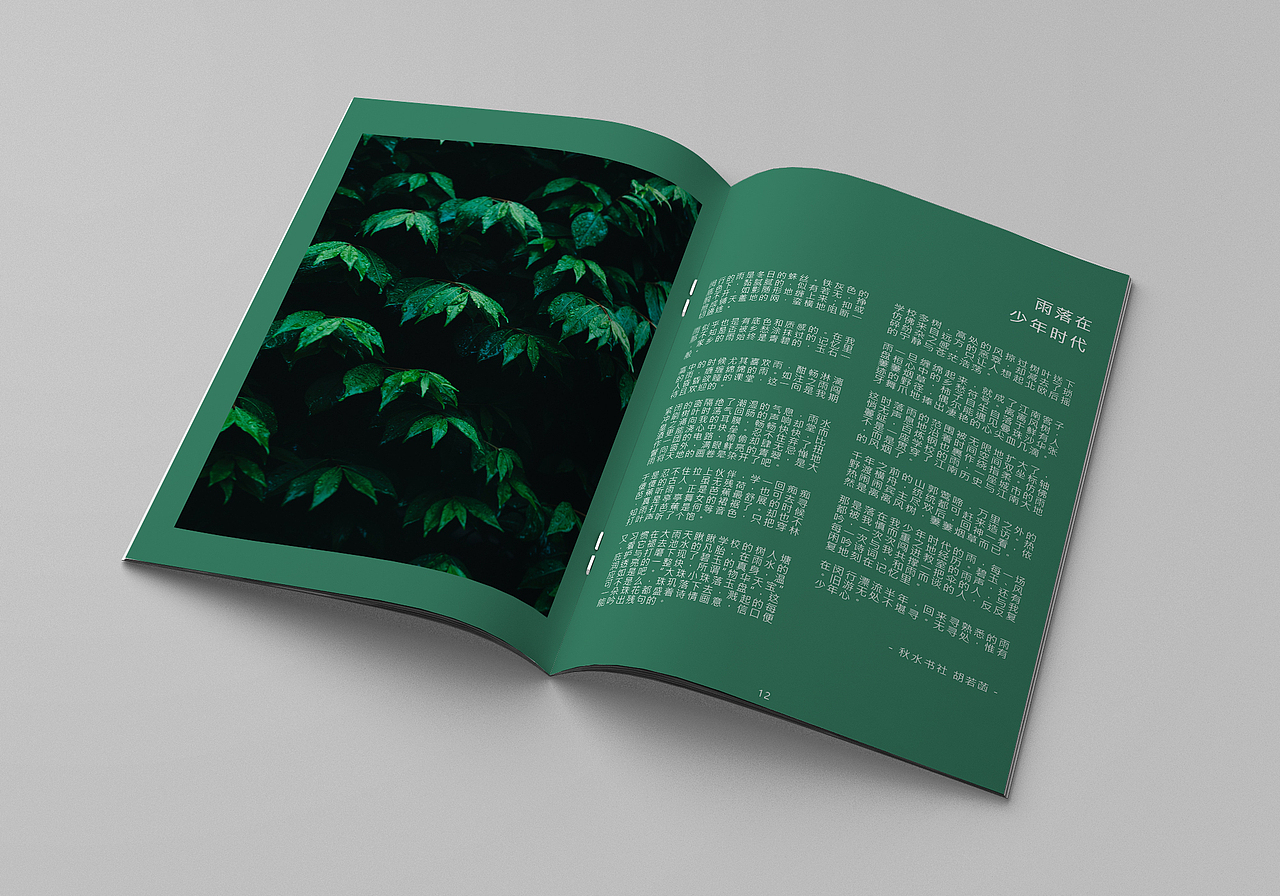 文学社 作品合集 杂志设计